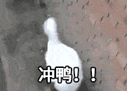 微信圖片_20221027105756.gif